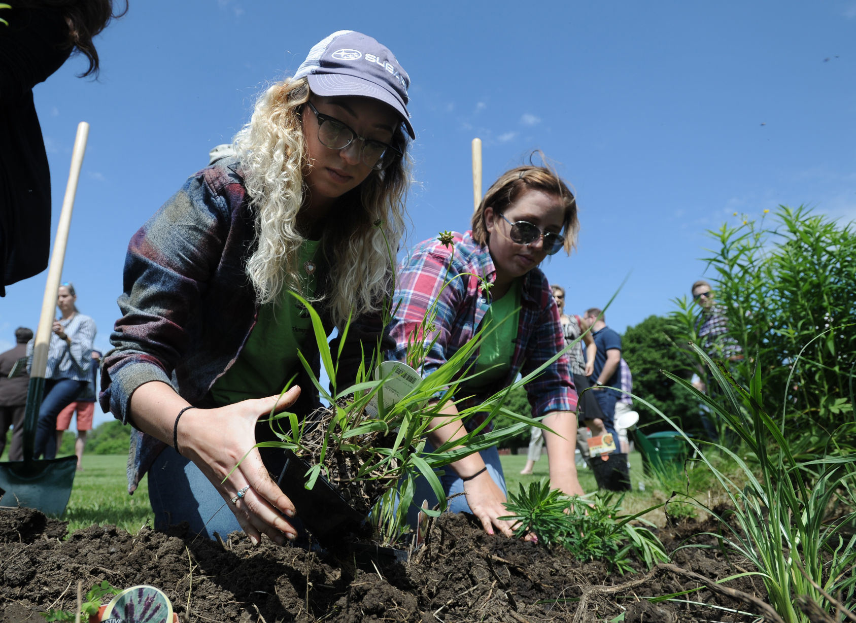 POLLINATOR PATCH PROGRAM UWP